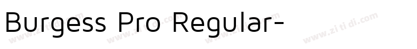 Burgess Pro Regular字体转换 Burgess Pro Regular字体转换
